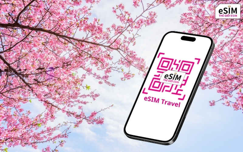 eSIM Japan 5.jpg